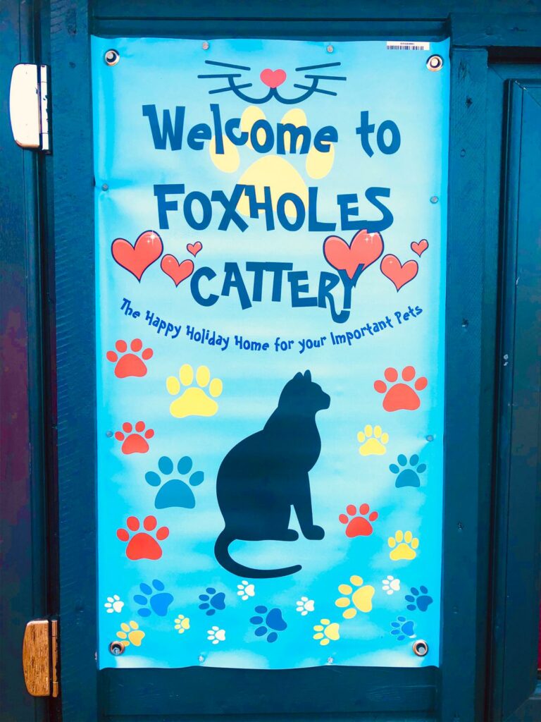 Foxholes kennels hot sale